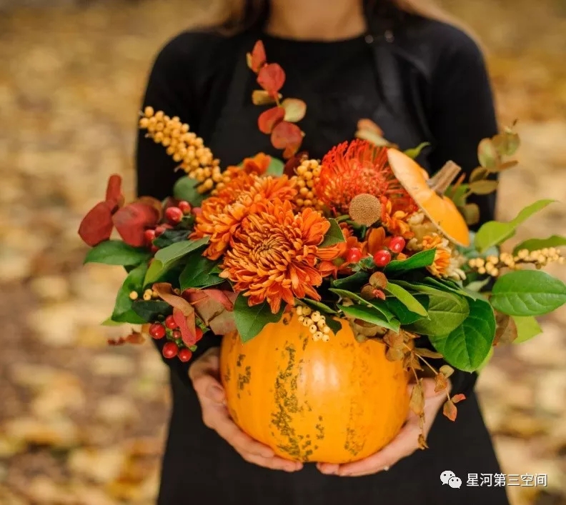 1.webp.jpg 1.webp.jpg