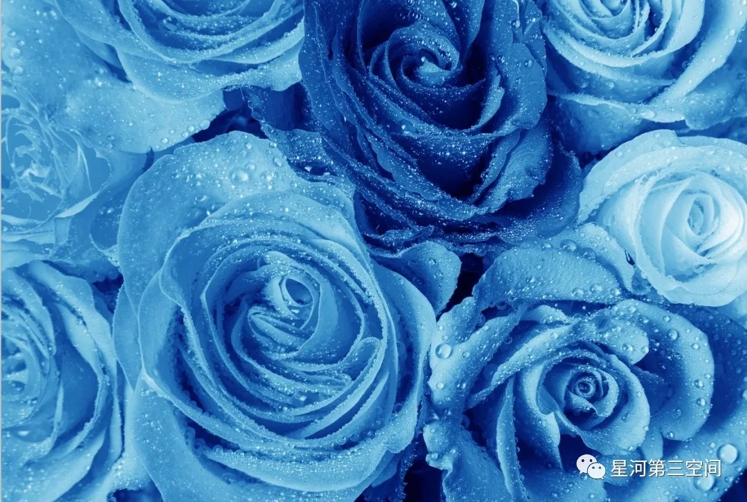 4.webp.jpg 4.webp.jpg